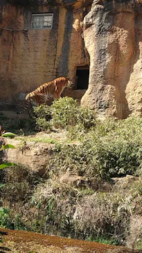 多摩動物公園に投稿された画像（2025/4/7）