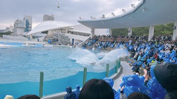 鴨川シーワールドに投稿された画像（2025/4/7）