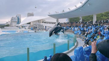 鴨川シーワールドに投稿された画像（2025/4/7）