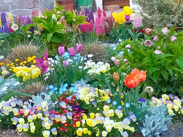 ムーミンバレーパークに投稿された画像（2025/4/7）