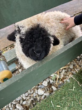 EnglishGardenローザンベリー多和田に投稿された画像（2025/4/7）