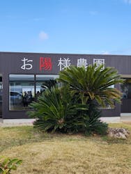 お陽様農園に投稿された画像（2025/4/7）