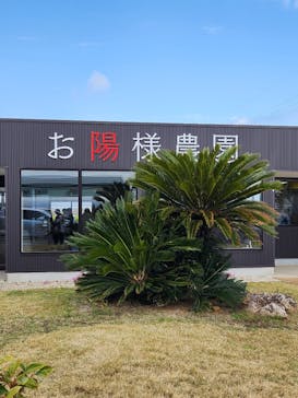 お陽様農園に投稿された画像（2025/4/7）