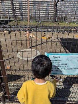 あらかわ遊園に投稿された画像（2025/4/7）