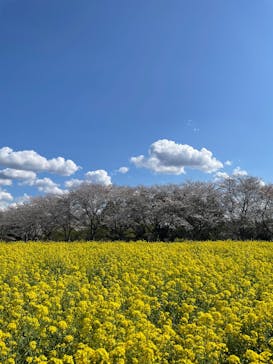 成田ゆめ牧場に投稿された画像（2025/4/7）