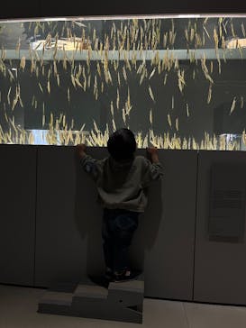 AOAO SAPPOROに投稿された画像（2025/4/8）