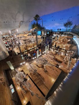 福井県立恐竜博物館に投稿された画像（2025/4/8）