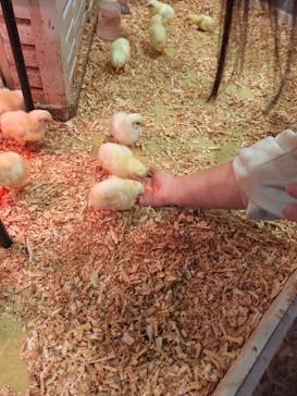 アニタッチみなとみらいに投稿された画像（2025/4/8）