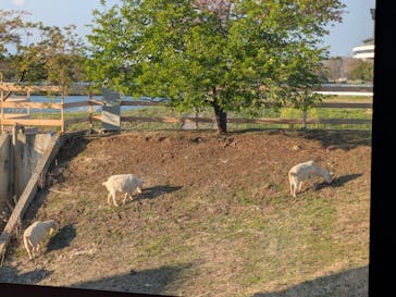 熊谷天然温泉　花湯スパリゾートに投稿された画像（2025/4/8）
