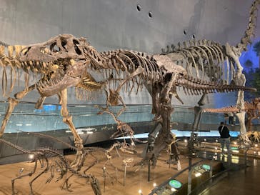 福井県立恐竜博物館に投稿された画像（2025/4/8）