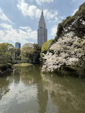 新宿御苑に投稿された画像（2025/4/8）