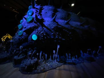 金曜ロードショーとジブリ展　三重展に投稿された画像（2025/4/8）