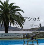 あわしまマリンパークに投稿された画像（2025/4/8）