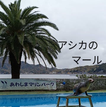 あわしまマリンパークに投稿された画像（2025/4/8）