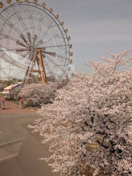 東武動物公園に投稿された画像（2025/4/8）