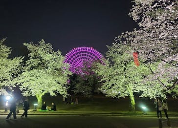 万博記念公園に投稿された画像（2025/4/8）