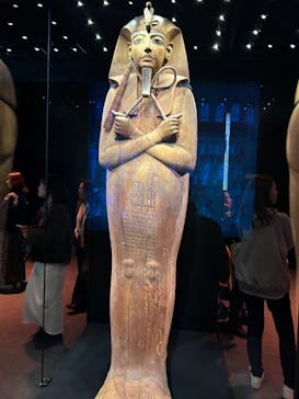 ACN ラムセス大王展 ファラオたちの黄金に投稿された画像（2025/4/8）