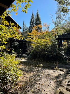 虎渓窯に投稿された画像（2025/4/8）