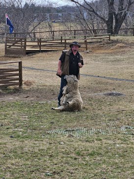 那須どうぶつ王国に投稿された画像（2025/4/8）