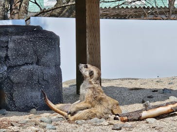 那須どうぶつ王国に投稿された画像（2025/4/8）