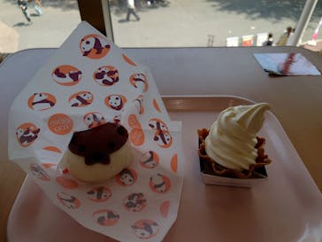 恩賜上野動物園に投稿された画像（2025/4/8）