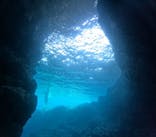 沖縄マリンサービス碧に投稿された画像（2025/4/8）