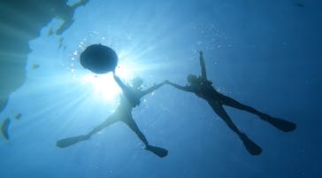 沖縄マリンサービス碧に投稿された画像（2025/4/8）