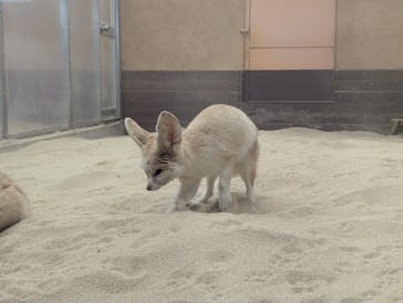 環境水族館アクアマリンふくしまに投稿された画像（2025/4/8）