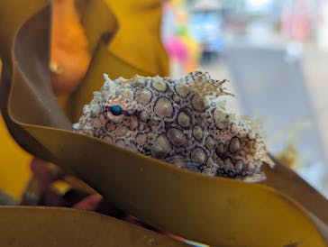 環境水族館アクアマリンふくしまに投稿された画像（2025/4/8）