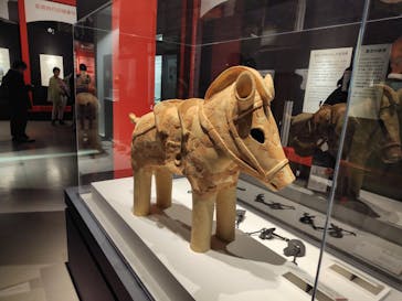 特別展「古代DNA－日本人のきた道」（国立科学博物館）に投稿された画像（2025/4/8）