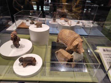 特別展「古代DNA－日本人のきた道」（国立科学博物館）に投稿された画像（2025/4/8）