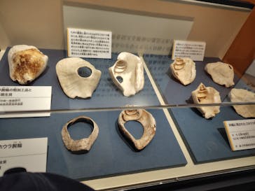 特別展「古代DNA－日本人のきた道」（国立科学博物館）に投稿された画像（2025/4/8）