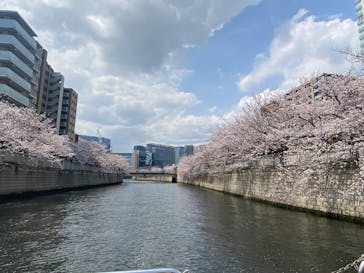 東京ウォータウェイズに投稿された画像（2025/4/8）