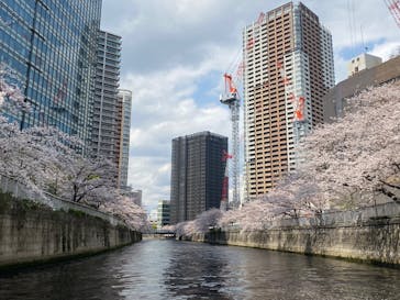 東京ウォータウェイズに投稿された画像（2025/4/8）