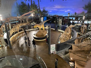 福井県立恐竜博物館に投稿された画像（2025/4/8）