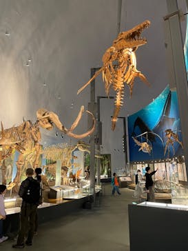 福井県立恐竜博物館に投稿された画像（2025/4/8）