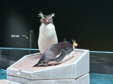 AOAO SAPPOROに投稿された画像（2025/4/8）