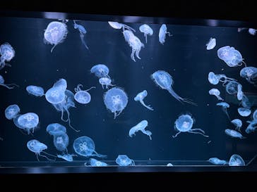 AOAO SAPPOROに投稿された画像（2025/4/8）