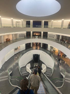 福井県立恐竜博物館に投稿された画像（2025/4/8）