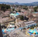 宇都宮動物園に投稿された画像（2025/4/8）