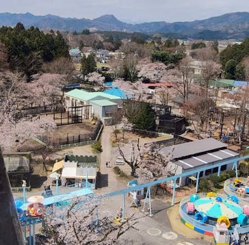 宇都宮動物園に投稿された画像（2025/4/8）