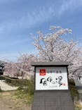 京都嵐山温泉 風風の湯に投稿された画像（2025/4/8）