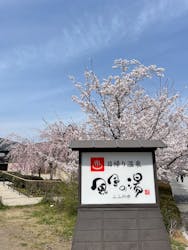 京都嵐山温泉 風風の湯に投稿された画像（2025/4/8）