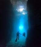 青の洞窟専門店　沖縄ダイビングショップ和に投稿された画像（2025/4/8）