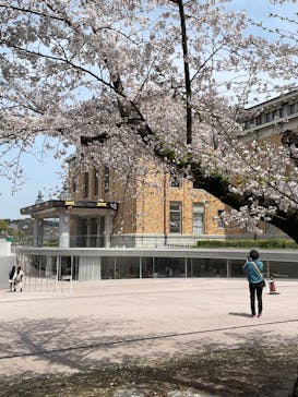 モネ　睡蓮のときに投稿された画像（2025/4/8）