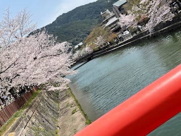 モネ　睡蓮のときに投稿された画像（2025/4/8）