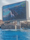 名古屋港水族館に投稿された画像（2025/4/8）