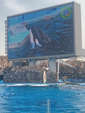 名古屋港水族館に投稿された画像（2025/4/8）