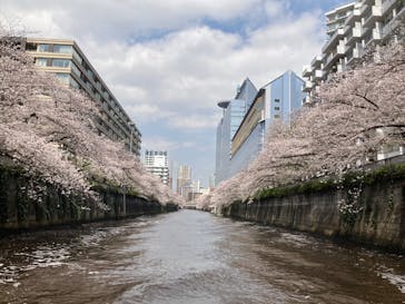 東京ウォータウェイズに投稿された画像（2025/4/8）