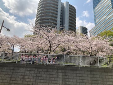 東京ウォータウェイズに投稿された画像（2025/4/8）